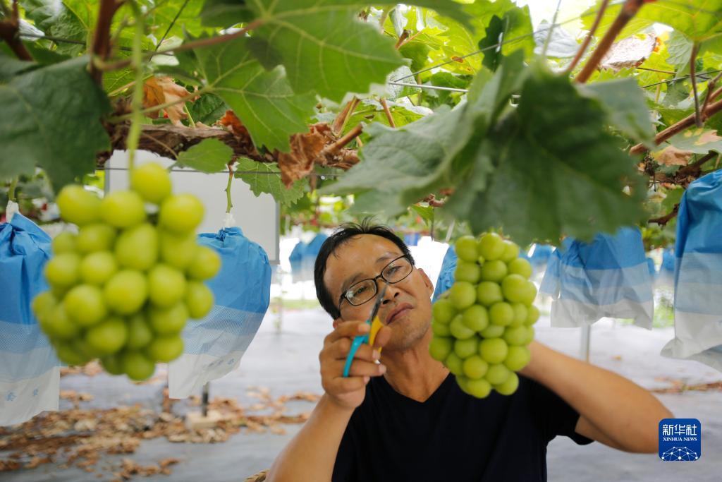 大富豪游戏下载